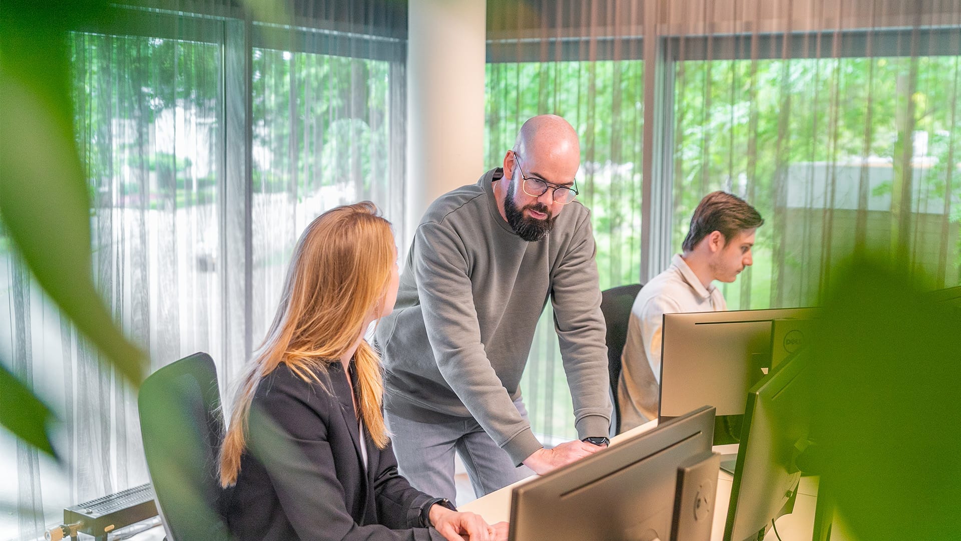 Collega's van BCT die aan het overleggen zijn in een lichte ruimte met een angle vanuit de planten